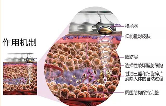 �w��x��&ldquo;��(y��u)����&rdquo;����