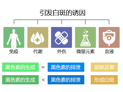 ����L(f��ng)�T��